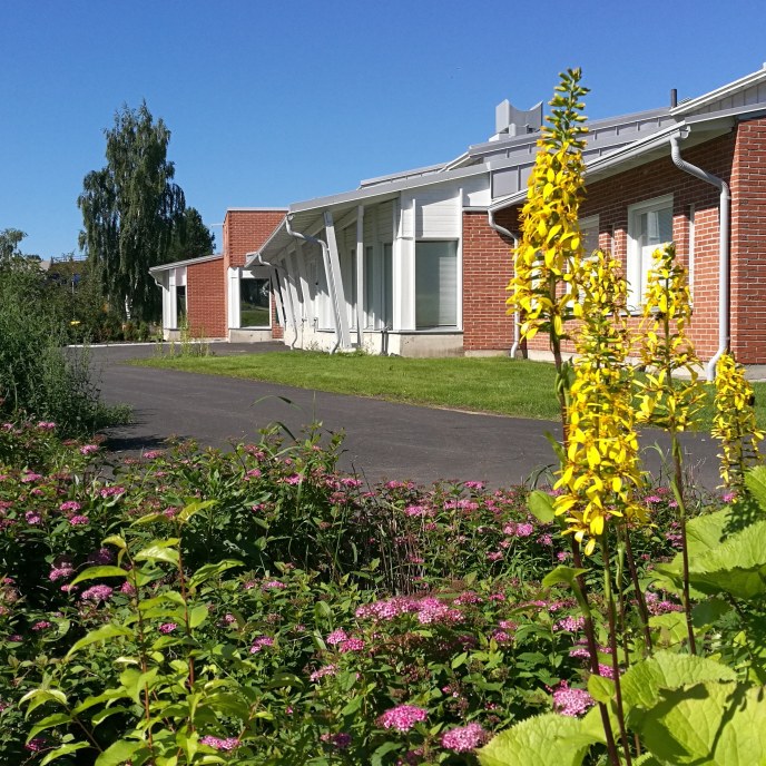 Syketalo ja talon pihalla kukkivat kukat kesällä 2021.