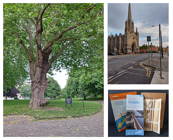 Kirkko, iso tammi, sekä kuva Dublinin kartasta.