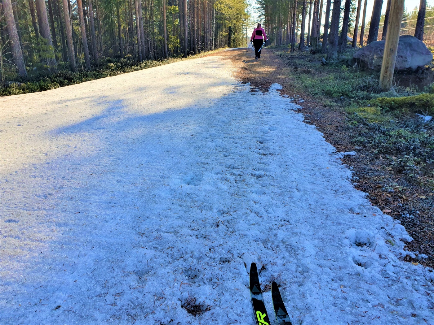 Hiihtäjä kantaa suksia sulaneella ladulla.