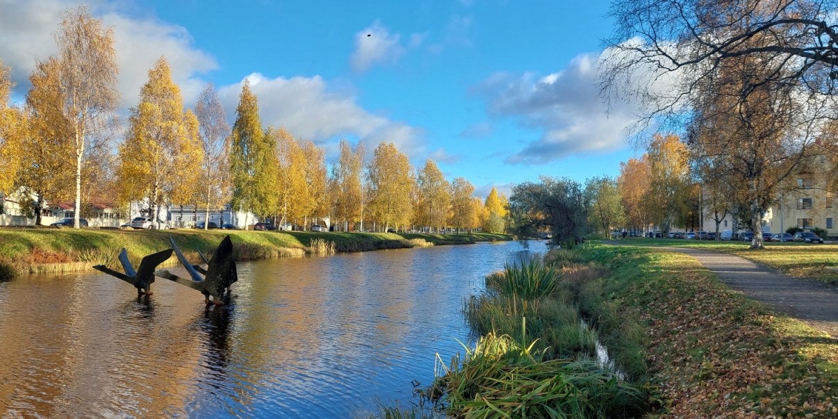 Leveä oja, jonka varrella oranssilehtisiä puita. Vedessä joutsenpatsaita, jotka ovat kuin lähdössä lentoon veden pinnalta. 