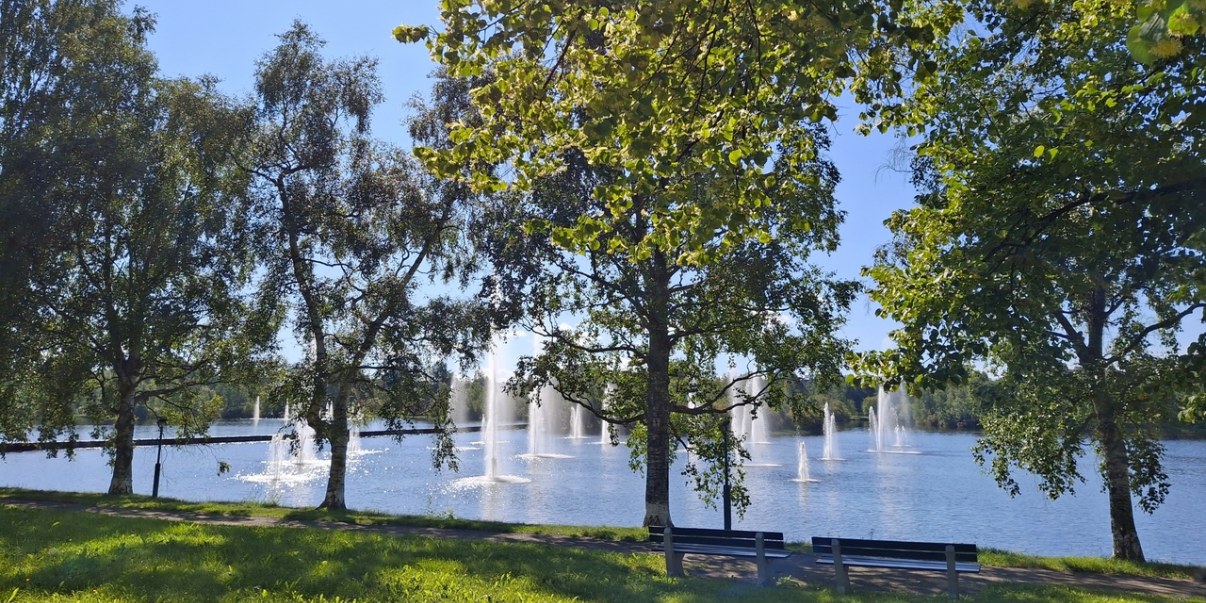 Puita nurmikkoisella rannalla, taustalla vedessä suihkulähteet.