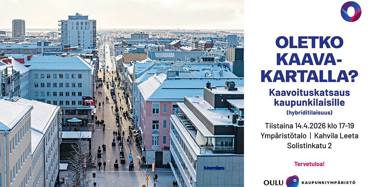 kaavoituskatsaus, yleisötilaisuus