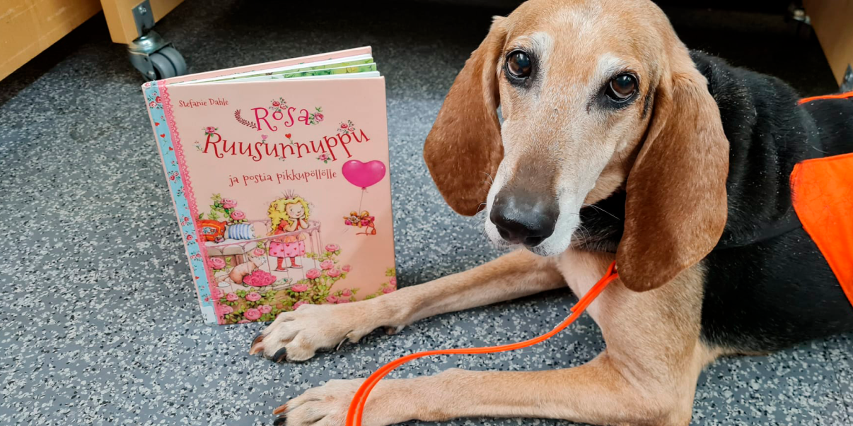 Koira makaa lattialla, vieressä on kirja pystyssä.