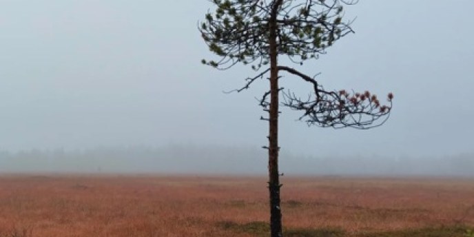 Valokuvakilpailu 2026