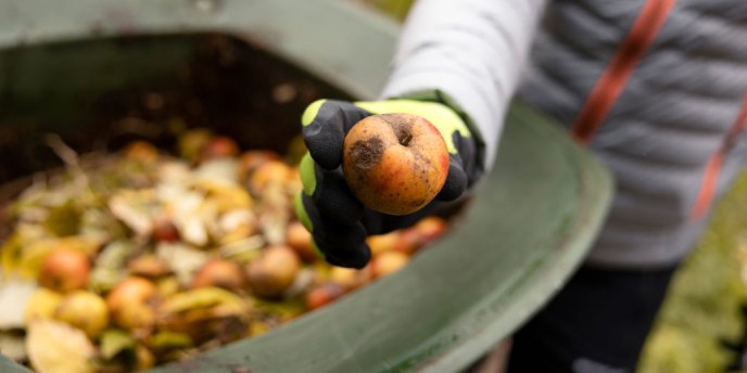 Oulun seudulla aloitetaan biojätteen lajitteluvelvoitteen seuranta