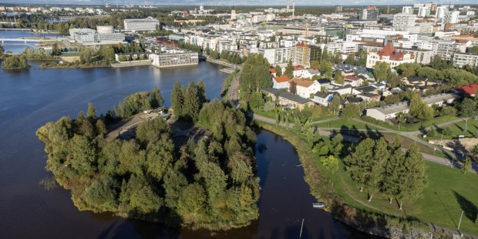 Sonnisaareen kutsutaan istuttamaan puna­koivuja lauantaina