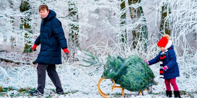 Joulukuusen voi alueellamme hankkia valtion metsästä luvallisesti