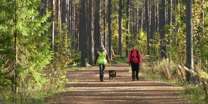 Pelastuskoirat valtaavat Nallikarin – yleisölle näytetään, miten kadonnutta etsitään koiran avulla