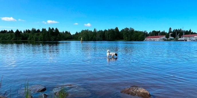 My Oulu: Kickstart to You Belong Here antiracism campaign