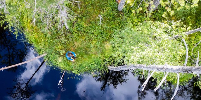 Luontokokemuksellinen Suo – Kävelyn tiellä -tapahtuma käynnistyy Valveelta ja suuntaa Sanginjoelle