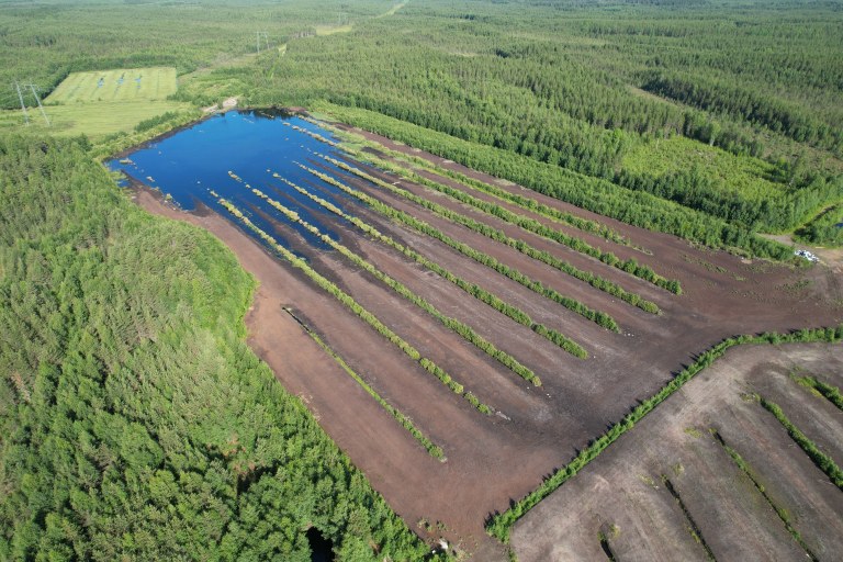 Pilottikosteikko turvetuottajan jälkihoitovaiheessa