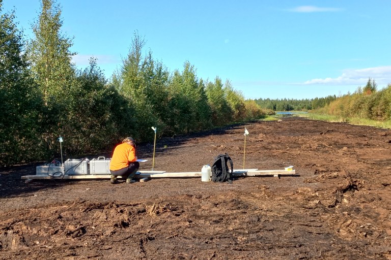 Kasvillisuustutkimuksen tekoa Turvesuolla Visio-hankkeesta kesällä 2025