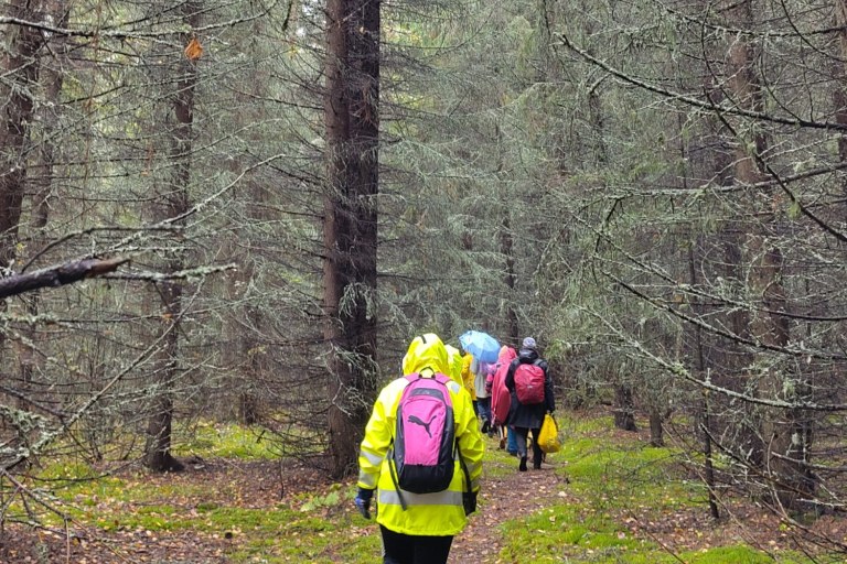 Ihmisiä kävelee syksyisessä ja sateisessa metsässä. Puissa ei enää ole lehtiä.