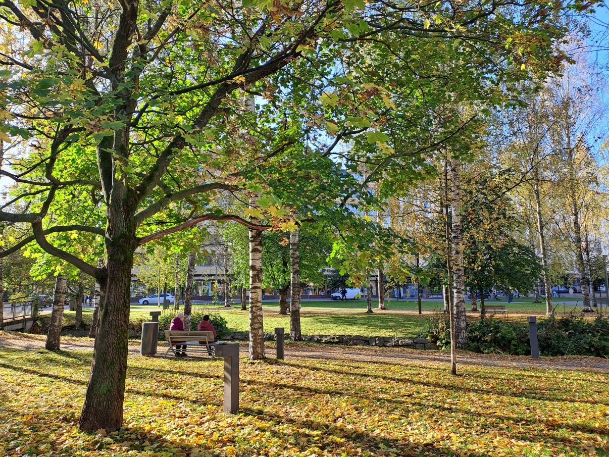 Otto Karhi park on a sunny day