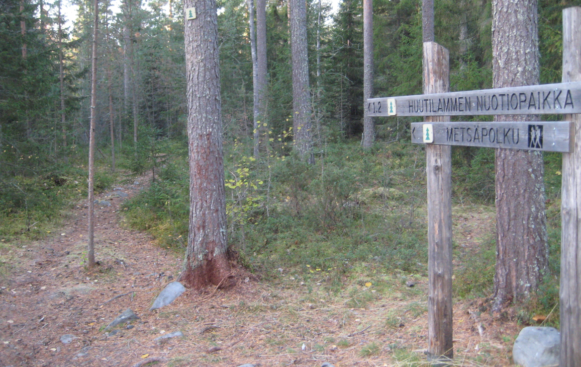Stock picture of a learning path in a forest