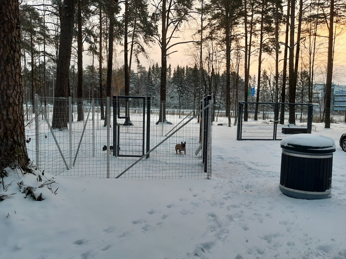 Kuva Intiönkankaan koira-aitauksesta talvinen koira-aitaus. 
