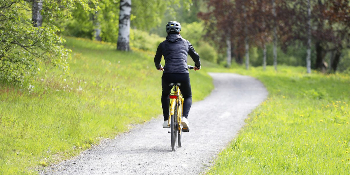 Kuva, pyöräilijä metsäreitillä.