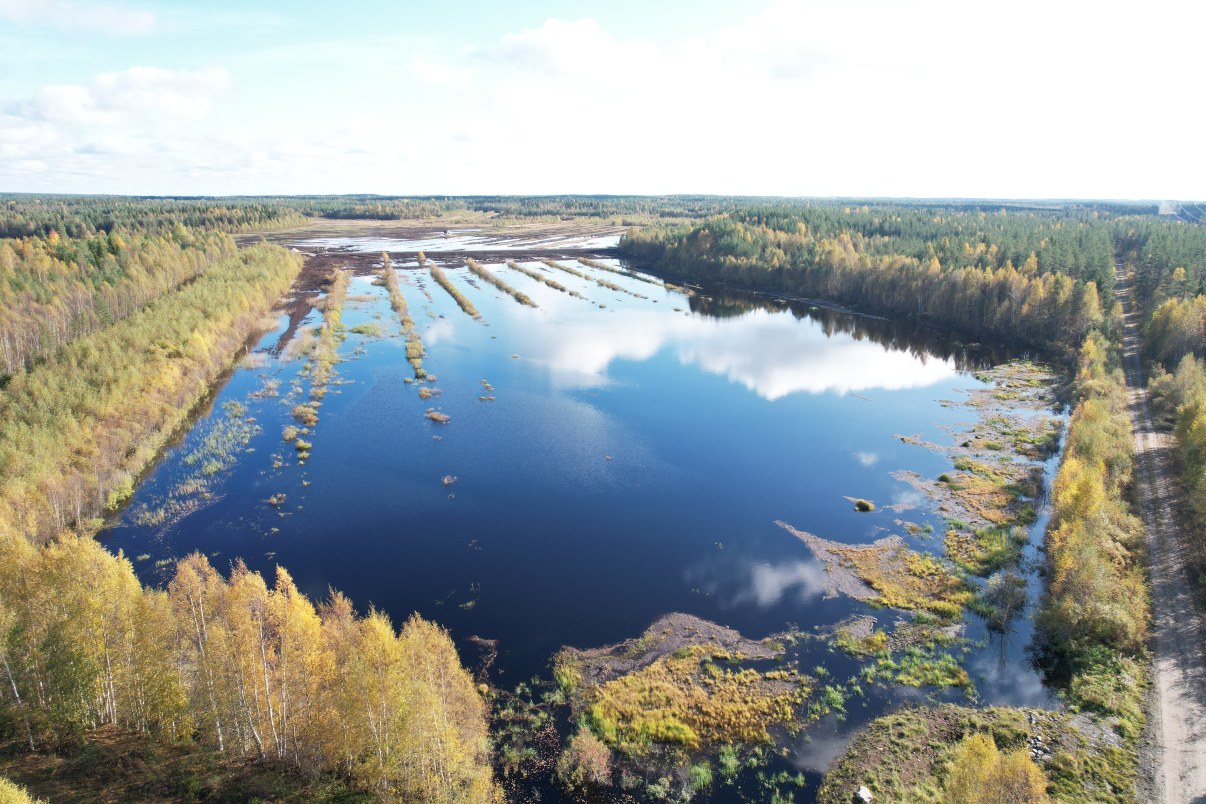 Turvesuon pilottikosteikko dronella kuvattuna syksyllä 2025