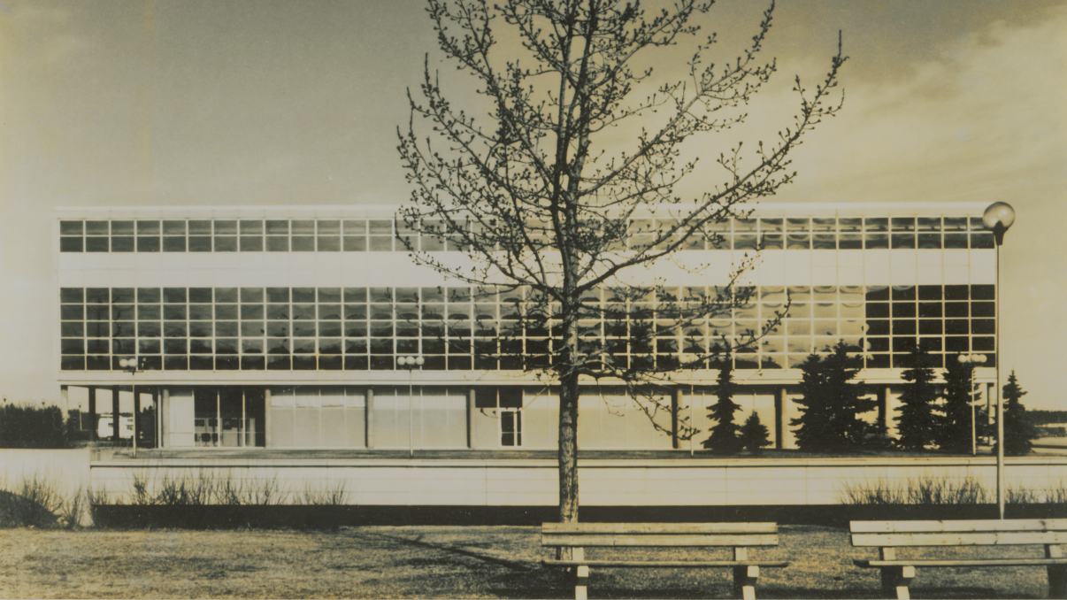 Vanha valokuva, taustalla Oulun pääkirjasto, suuri seinä jossa on paljon ikkunapintaa, etualalla puu ja penkki.