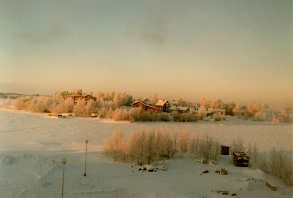 Näkymä Pikisaareen, etualalla tyhjä tontti.