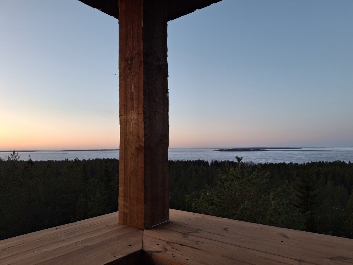 Puisesta tornista kuvattu: horisontissa meri, etualalla metsää.