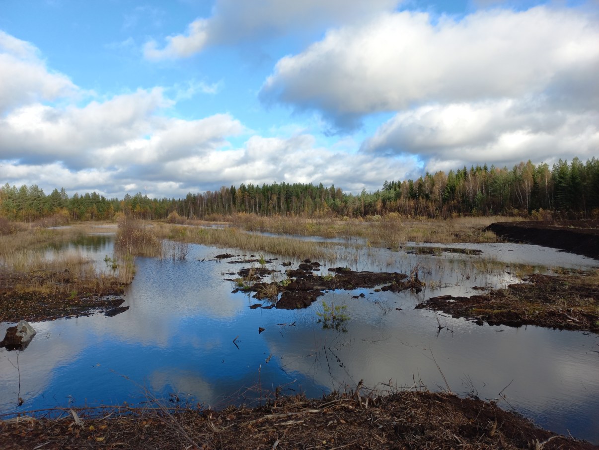 Patoamalla tehtyä kosteikkoa Turvesuon lohkolla 4