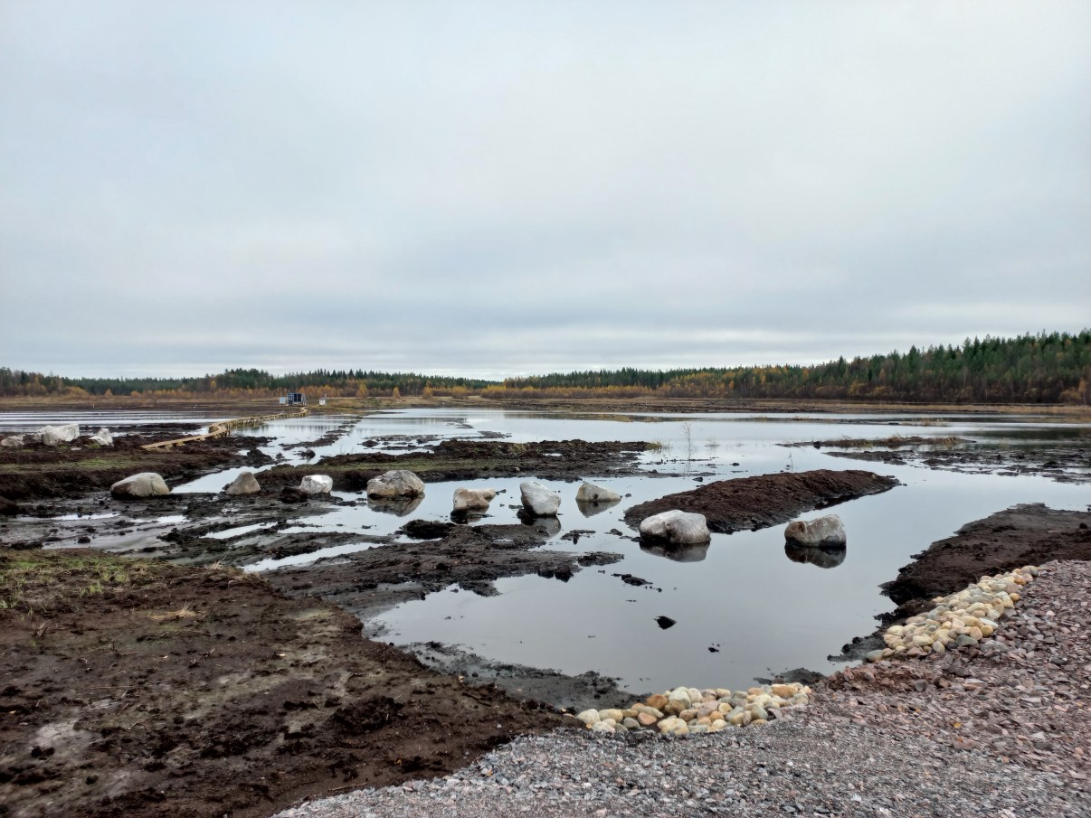 Patopenkere, kivipohjapato ja laajenevaa kosteikkoa Turvesuon lohkoilla 5-6.