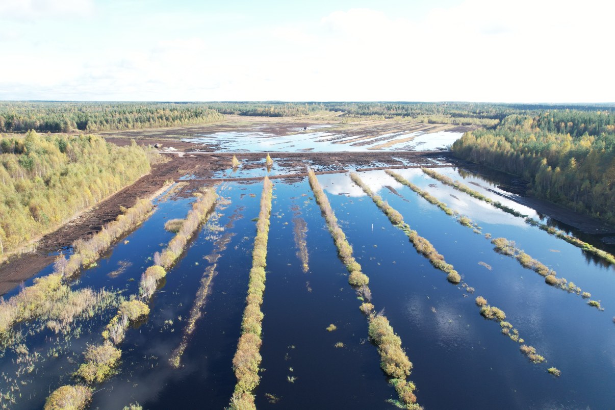 Kosteikon avovesipintaa, kasvillisuutta entisissä sarkaojissa sekä patopenkereitä ja niillä aikaan saatua vettymistä ja kosteikkoa.