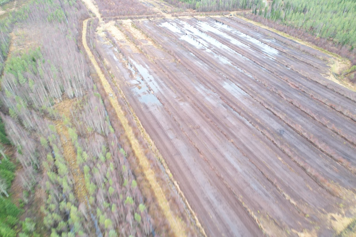 Dronekuva lohkosta 12, mikä osoittaa alueen vettymisen