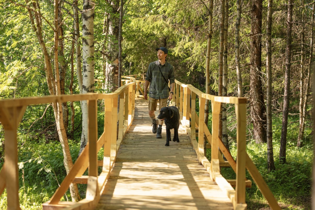 Mies ulkoiluttamassa koiraa Koitelin ulkoilualueella. 