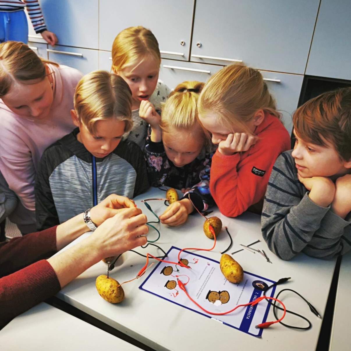 Kuva oppilaista työskentelemässä