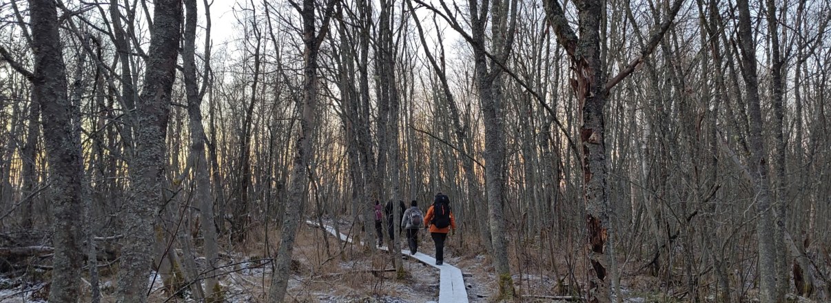 Letonniemen luontopolku