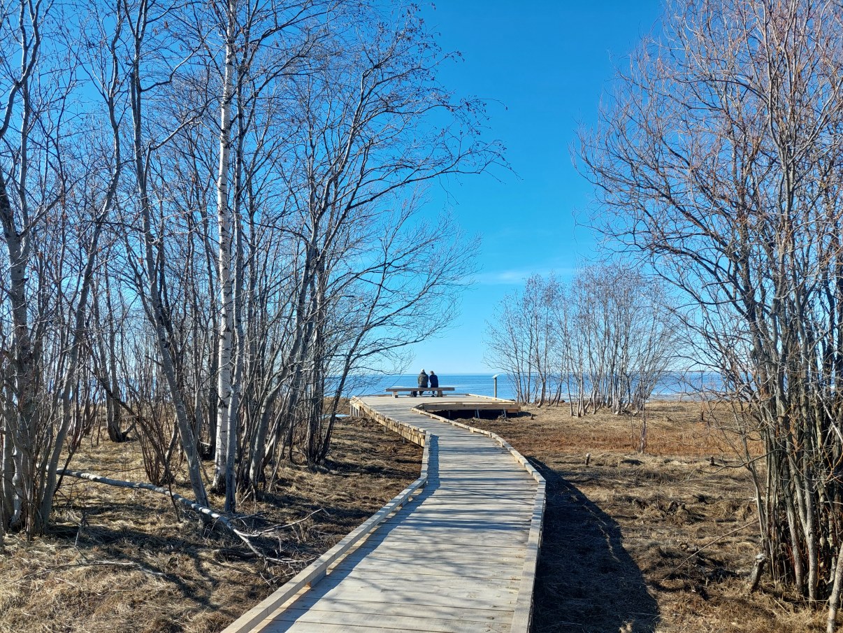 Puinen polku merenrantaan. Päässä puinen penkki lavalla, josta näkymä merelle.