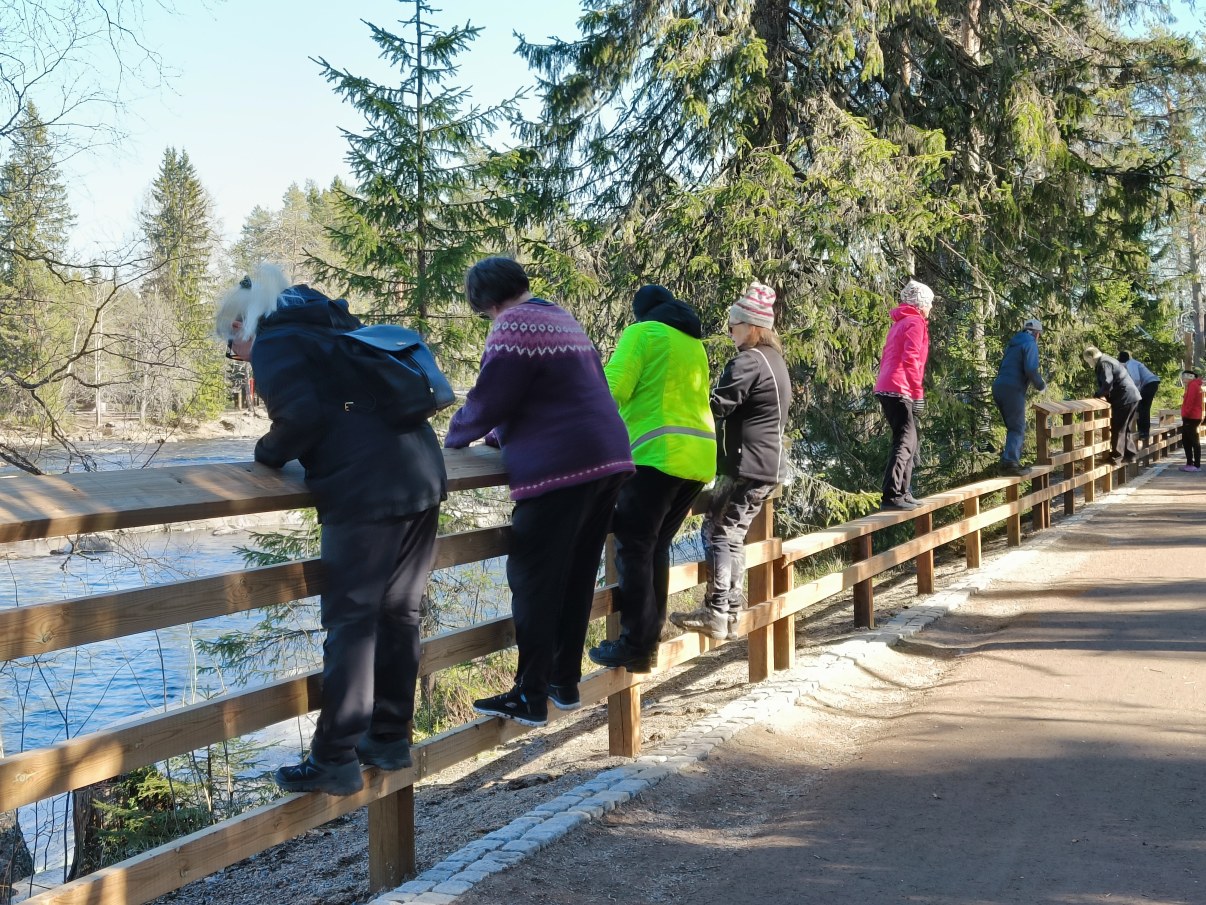 Koitelinkoski, parkour, henkilöitä seisoo aidalla.