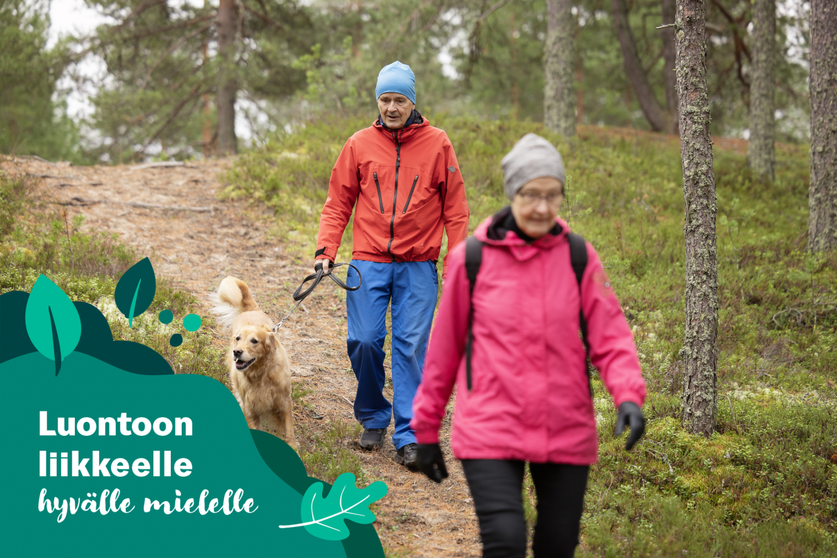 Luontoon liikkeelle hyvälle mielelle. Nainen, mies ja koira kävelevät metsäpolulla