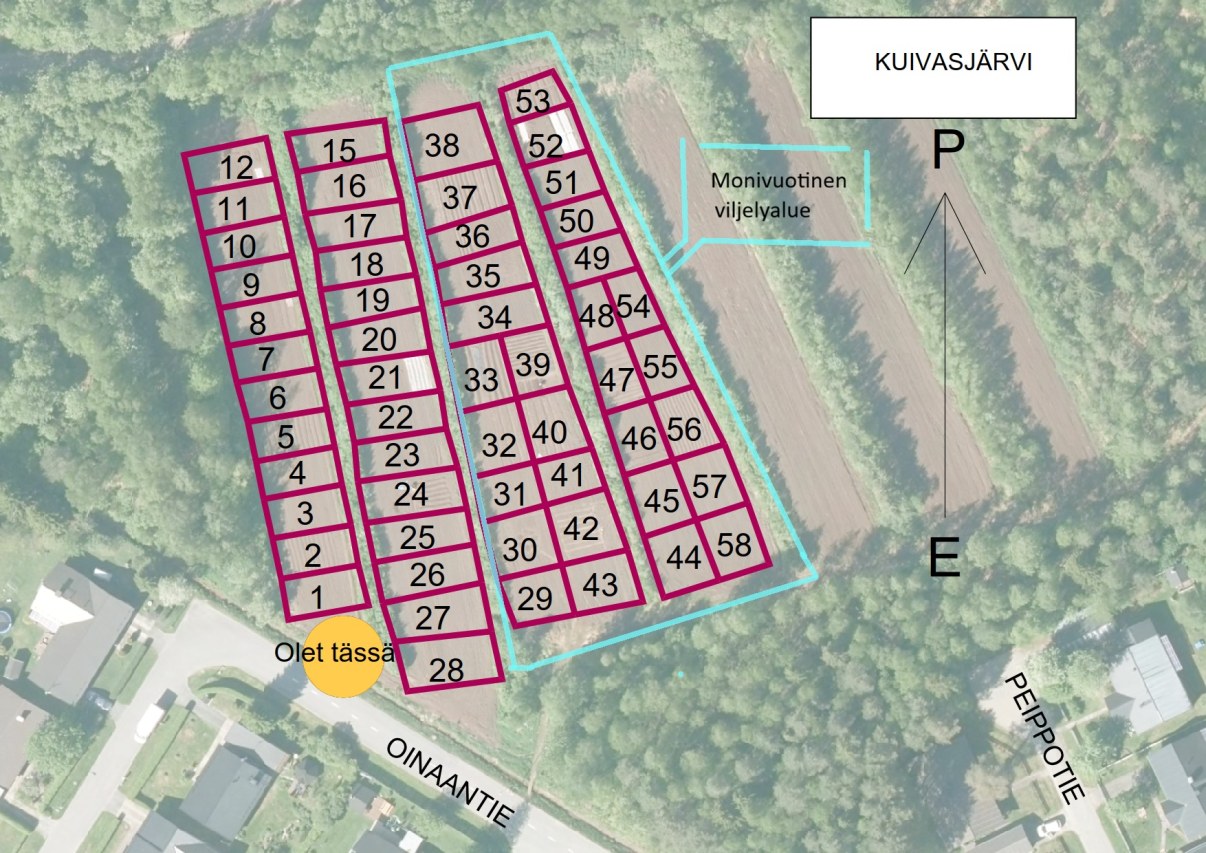 Kuivasjärven palstaviljelyalueen kartta