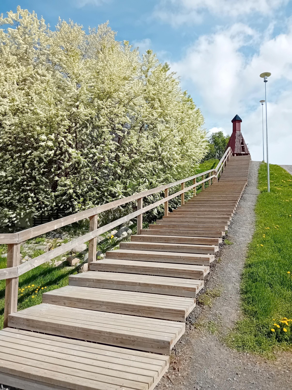 Puiset kuntoportaat, yläpäässä tornimainen rakennus. Tuomet kukkivat.