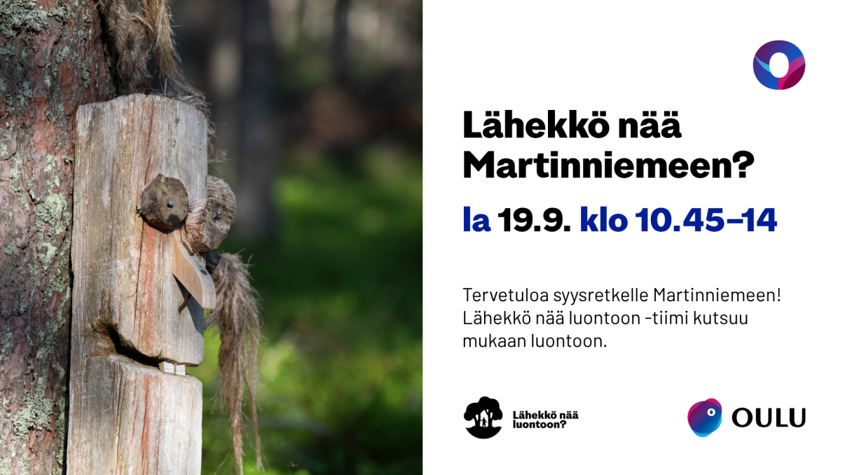Pölkystä tehty hahmo metsässä.