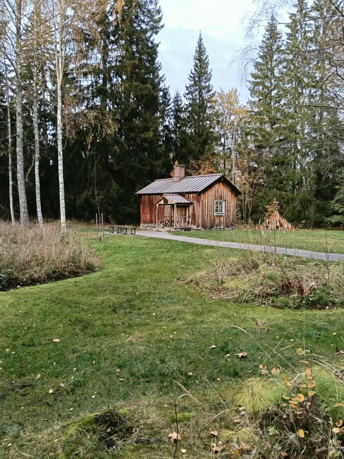 Kuvassa mökki metsikön reunassa.