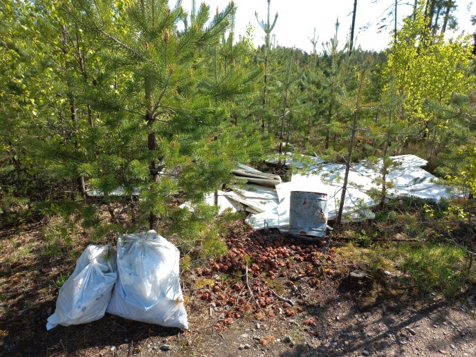 Waste in a forest.