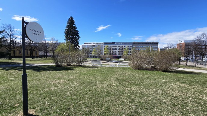 Kuvassa vihreä nurmialue ja sininen taivas.