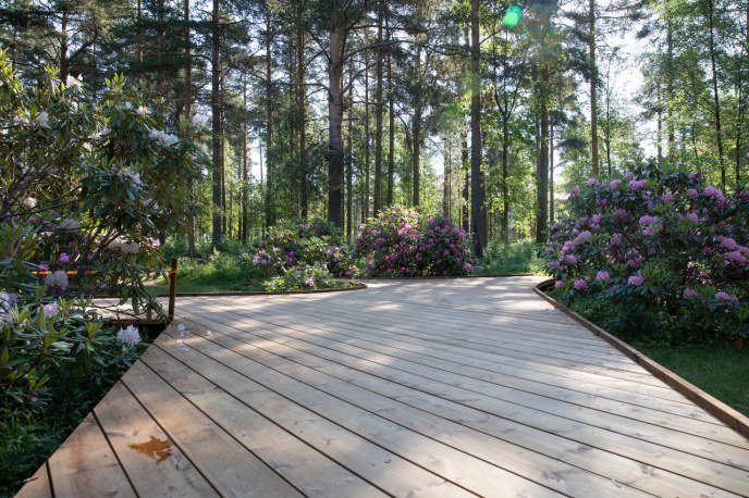 Kuvassa puinen kävelyreitti ja vihreää metsää