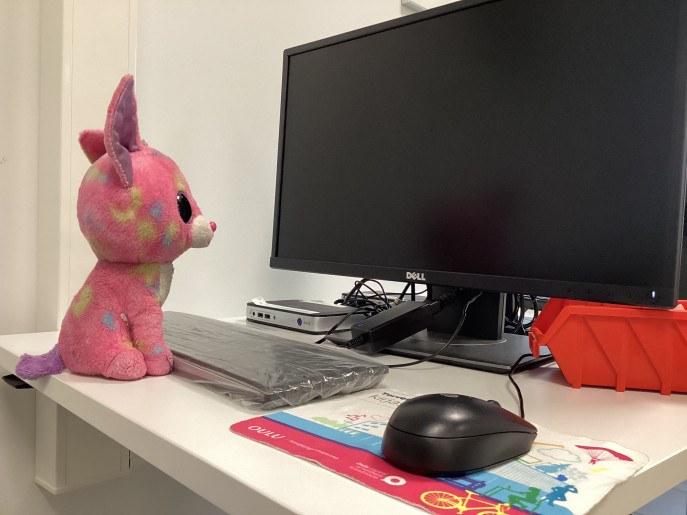 Pehmokettu tietokoneen ääressä