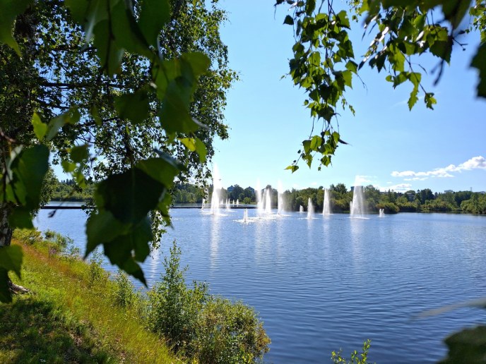 Kesäinen kuvituskuva